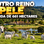 Fazenda de Pelé em Juquiá no Vale do Ribeira com área rural e estruturas da propriedade