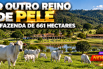 Fazenda de Pelé em Juquiá no Vale do Ribeira com área rural e estruturas da propriedade